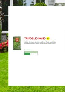 TRIFOGLIO NANO