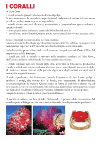 Coralli