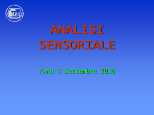 Presentazione di PowerPoint