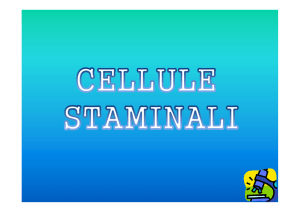 Cellule staminali