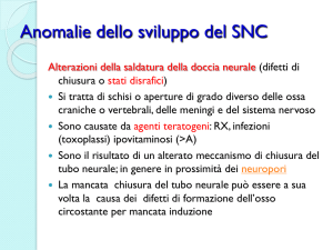 anomalie dello sviluppo del sistema nervoso
