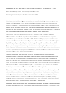 Relazione Tesi di Laurea Silos Granario Foggia_Mariangela Capozzi