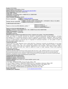 Facoltà: INGEGNERIA Corso di Laurea: INGEGNERIA CIVILE