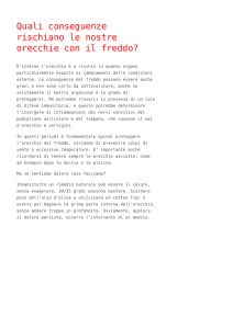 Quali conseguenze rischiano le nostre orecchie con il freddo?