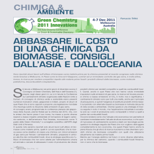abbassare il costo di una chimica da biomasse. consigli dall`asia e