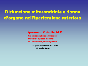 Disfunzione mitocondriale e danno d`organo nell`ipertensione