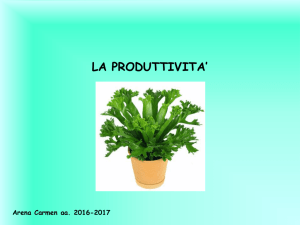 Nessun titolo diapositiva