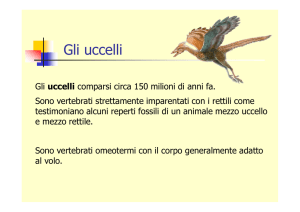 52 vertebrati – animali complessi