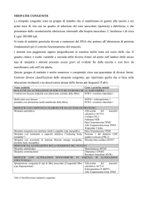 miopatie congenite - Fondazione Malattie Miotoniche