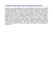 11. RICERCA: Cervello: italiana scopre molecola `doping` per la
