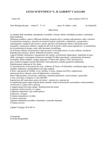 LICEO SCIENTIFICO “L. B. ALBERTI” CAGLIARI