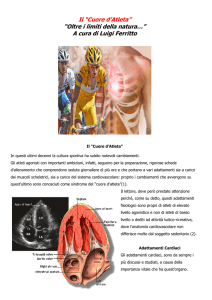 Cuore d`Atleta - Preparazione Atletica