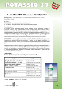 potassio 32 concime minerale azotato liquido