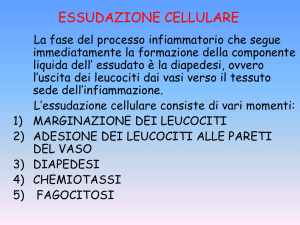 ESSUDAZIONE CELLULARE