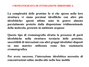 VII Lezione 16-17