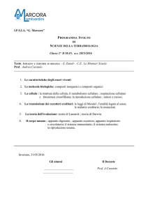 Classe 2^ D MAN. as 2015/2016 Testo: IMMAGINI E