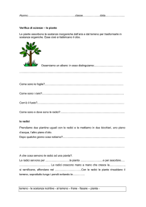 scienze 1_test piante