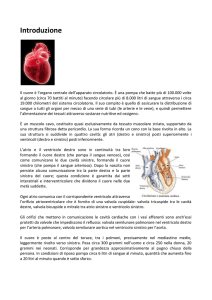 Introduzione - Centro Diagnostico Nardi