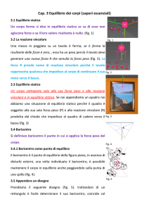 Cap. 3 Equilibrio dei corpi (saperi essenziali)