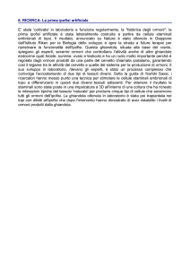 6. RICERCA: La prima ipofisi artificiale E` stata `coltivata` in