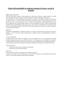 progetto
