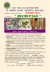 decoupage - Distretto 108Ia2