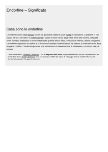 Endorfine – Significato