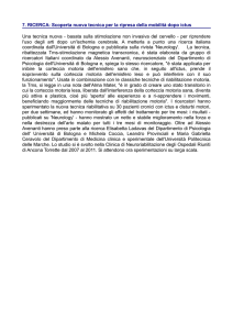Vedi allegato