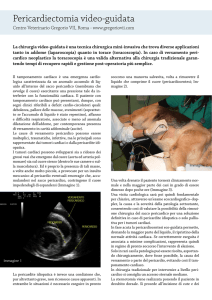 Leggi l`articolo - Ospedale Veterinario Gregorio VII