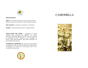 camomilla - COOPERATORI in ERBA