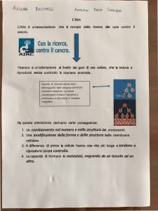 Leggi gli appunti scritti dalla classe III C