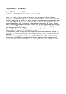 La giusquiamina nella lattuga