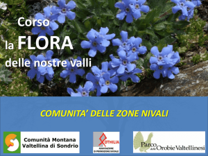 Diapositiva 1 - Comunità Montana Sondrio