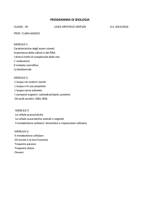 classe: 2h - A. Venturi