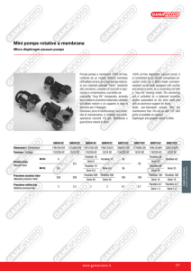Mini pompe rotative a membrana