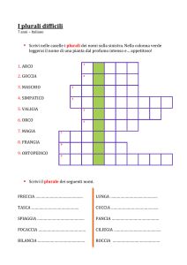 I plurali difficili