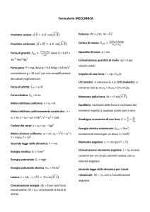 Formulario MECCANICA