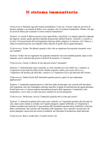 Visualizza il testo audio