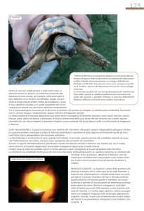 tenere le uova per lunghi periodi, a volte anche