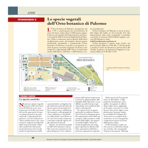 Le specie vegetali dell`Orto botanico di Palermo