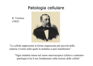 Patologia cellulare - Fisiokinesiterapia