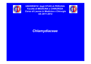 Università degli Studi di Perugia