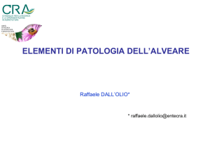 Patologie dell`alveare
