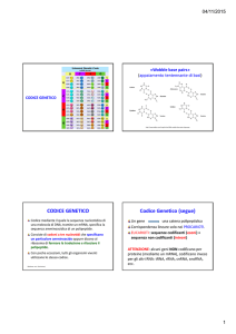 CODICE GENETICO Codice Genetico (segue)