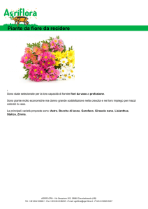 Piante da fiore da recidere