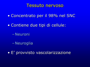 NERVOSO ISTOLOGIA File - Progetto e
