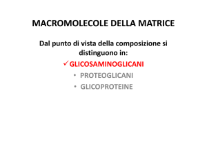 macromolecole della matrice