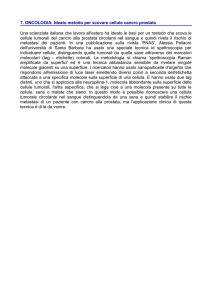 Vedi allegato
