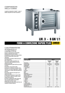 FORNI A CONVEZIONE VAPORE PLUS