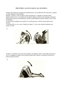 PREVENIRE E ALLONTANARE IL MAL DI SCHIENA Il dolore alla